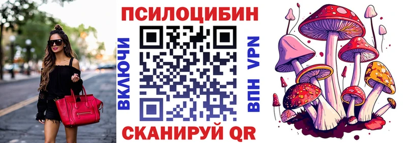 Псилоцибиновые грибы Psilocybe закладка Арсеньев